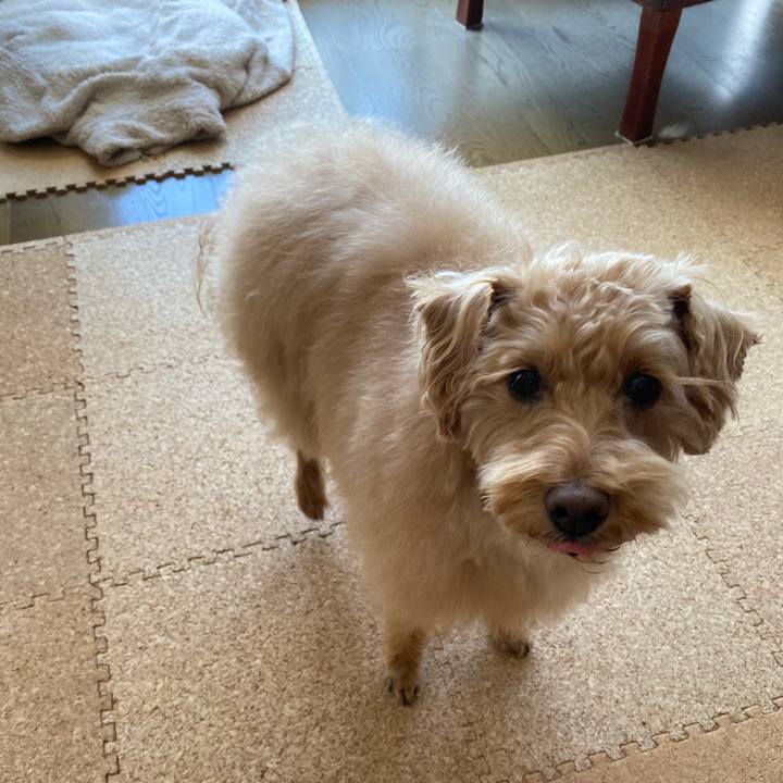 Faf146e5 8383 4595 9512 432b1f732249 1645068282040