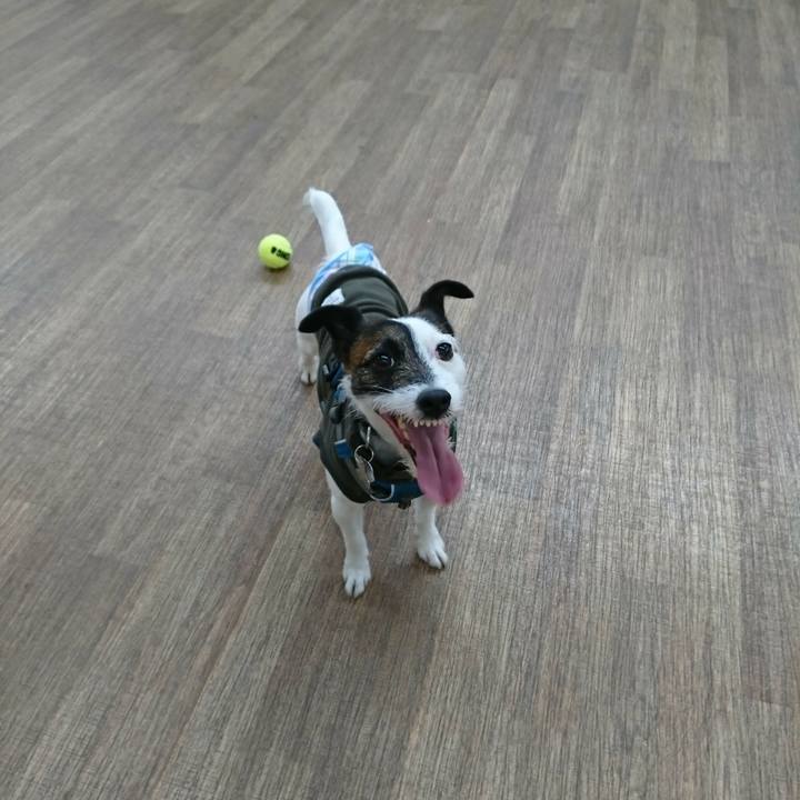 Faf14b6f fd92 4531 9c46 22c1edd9bce2 1517027471520