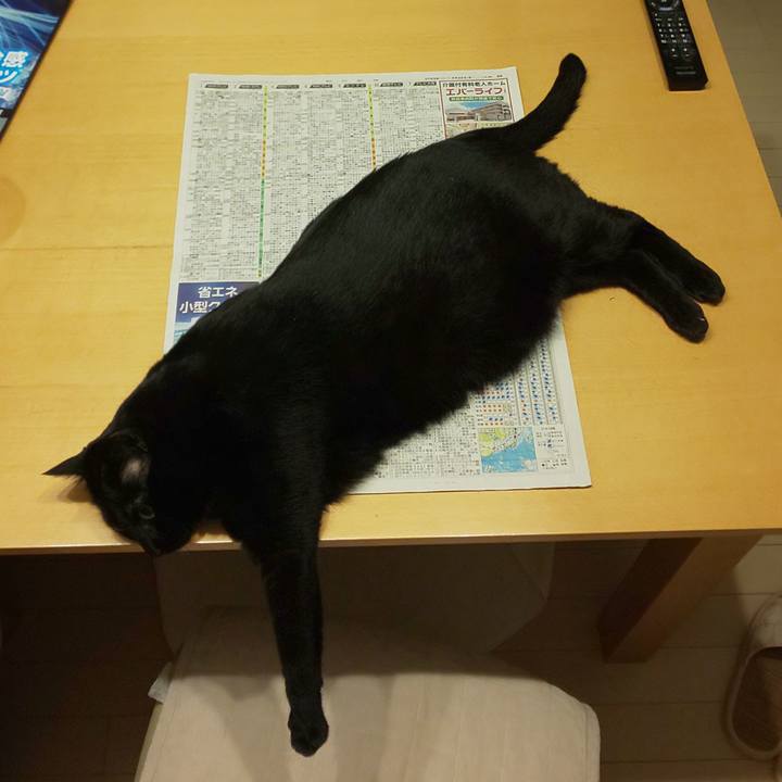 Faf17348 5f88 4703 95b9 4a1fc0f518ee 1750585188181