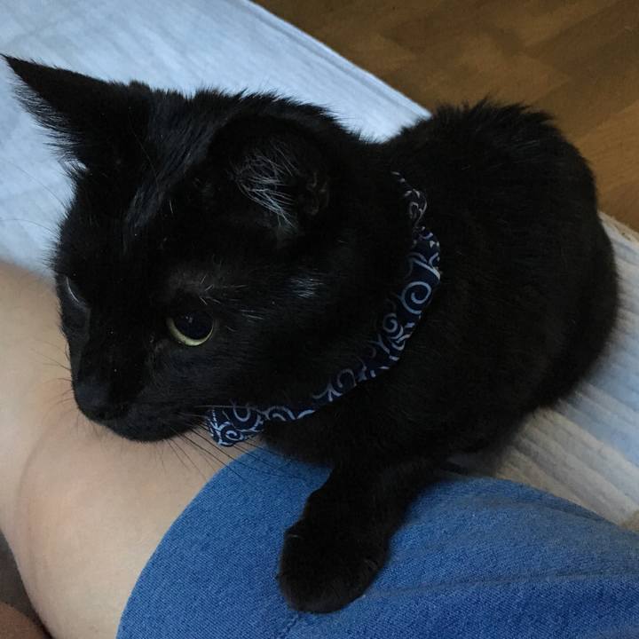 Faf17e6d e3e8 4b81 ba25 e3cfe9e96f19 1551302402429