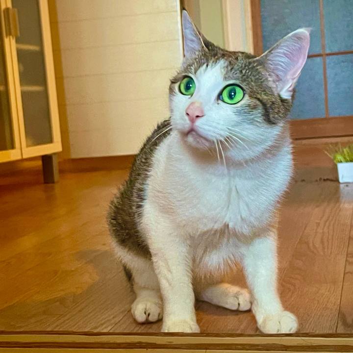 Faf1c242 0bee 42a7 b864 e60dbee050d9 1626141950982