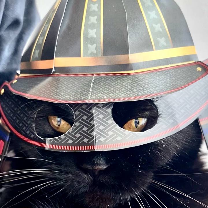 Faf1ccb6 d3df 4f16 b610 900d27cffe93 1714342814554