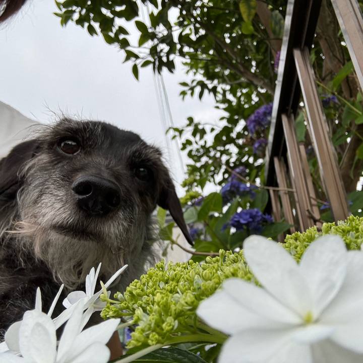 Faf1d7d1 df3e 4359 8273 153232097ac4 1750979336240