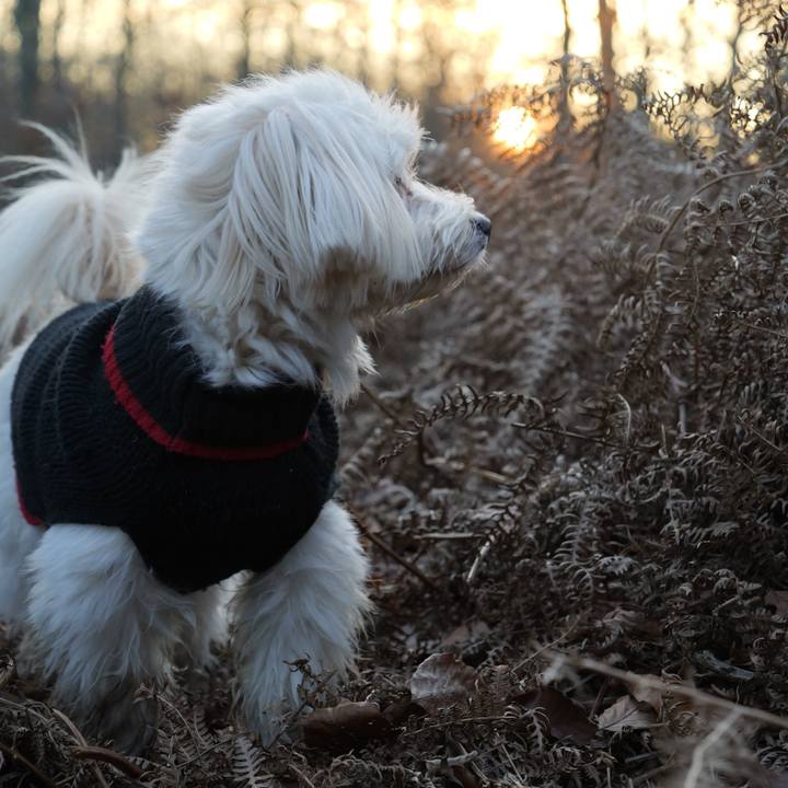 Faf1ed9d bfbd 464a af37 f51cf1aff1fb 1767077608032