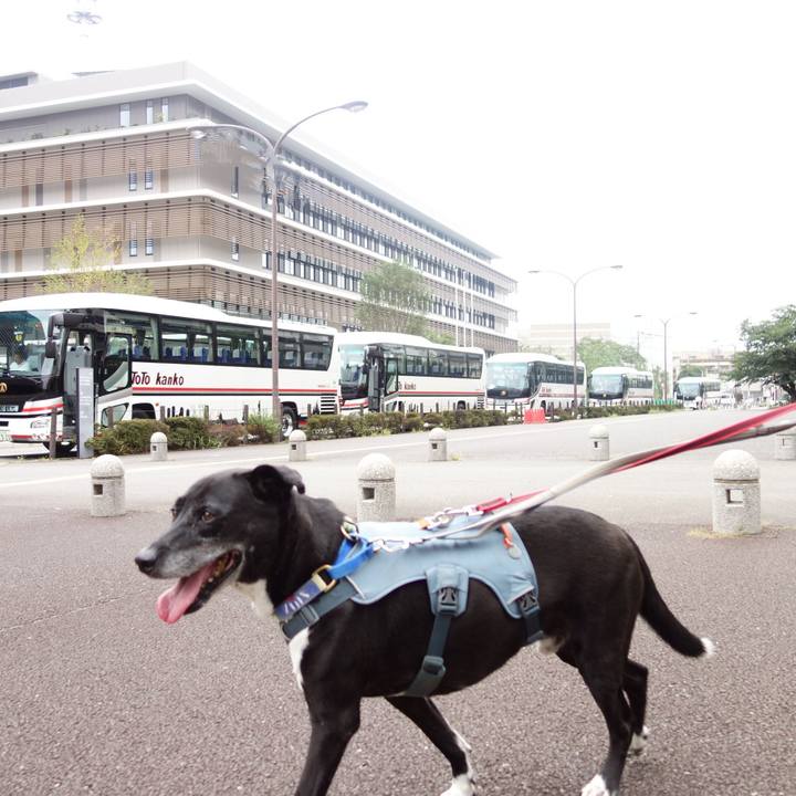 Faf20922 2bf1 4c3e a6e8 6a31989f8071 1726533923185