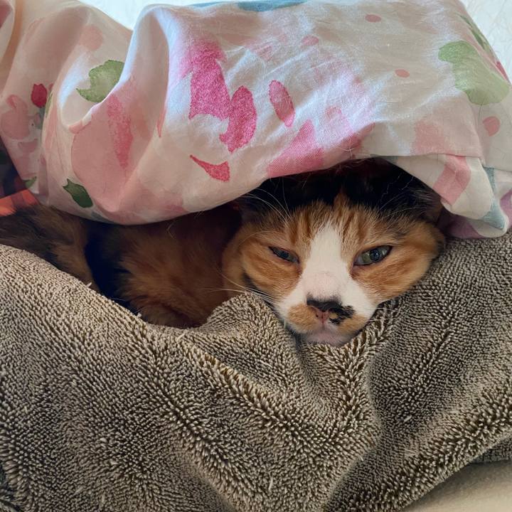 Faf211a7 517e 4861 be2a f38865827e87 1584768767810