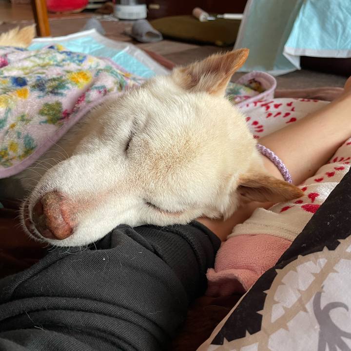 Faf21ee0 4359 4c26 bf3d a78307eff978 1676415929313