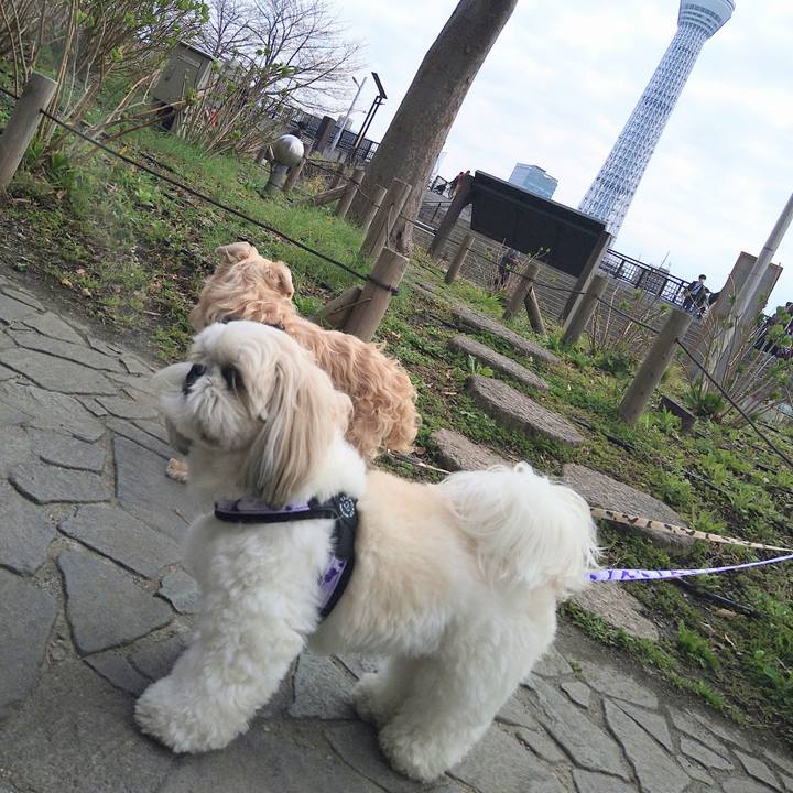 Faf27e18 8c0c 4cd7 bc2d ce18c86425dc 1648379188380