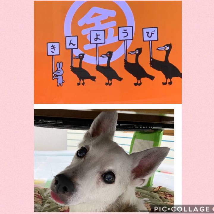 Faf28659 c06b 4365 97ed 091e0b0dd9ff 1605824692798