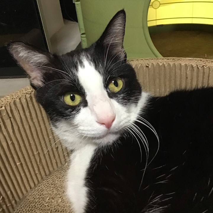 Faf289a9 0ee3 4524 83d6 8256cf818441 1758960548987