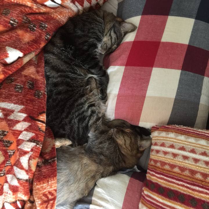 Faf292cb 250c 4436 bd2d 3f32dd93e3c8 1575749357195