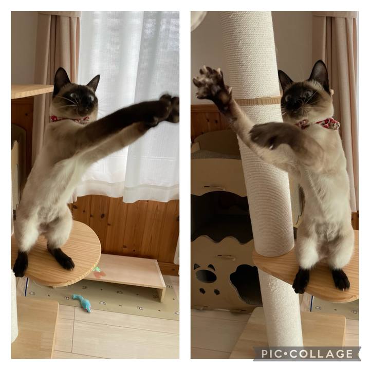 Faf2a72c d0cf 47ad 9798 c59db79b6fb5 1710919026921