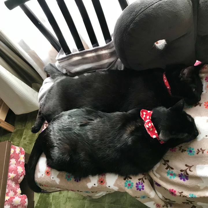 Faf2d70d d24d 491f 9b77 6380c7b854ba 1518055977291