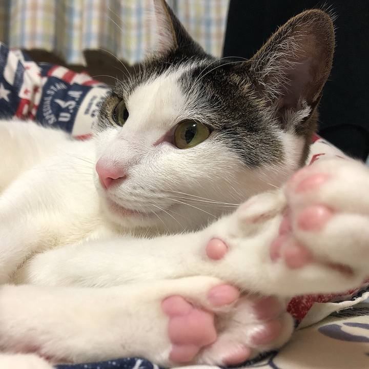 Faf3173f 08c7 4838 81b9 15c3959afe6d 1653140551079