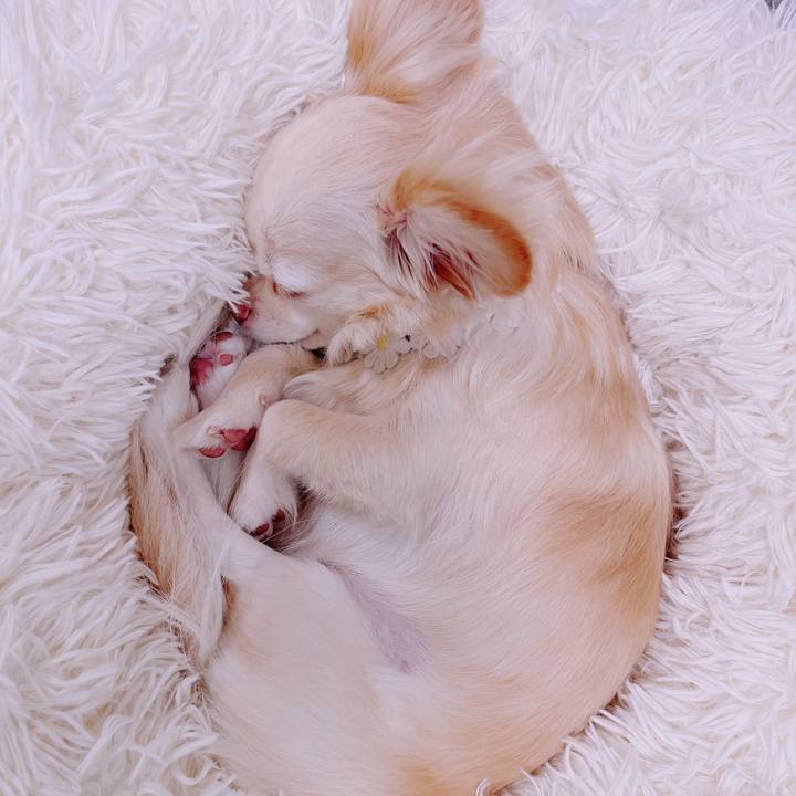 Faf319bb f985 44a9 9f23 60e73c58e100 1681629386252