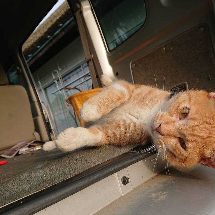 Faf34423 c5e9 4dc6 b008 0f7c42af331f 1567807103758