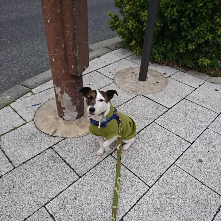 Faf35203 abea 4c83 822e 5562afab58c5 1521411650154