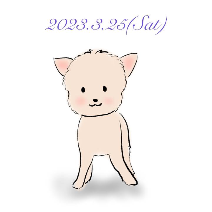 Faf3630a 2d68 4cbc 8042 52923c338194 1679747394660