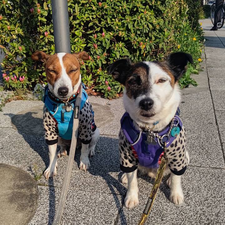 Faf36ca7 4fe8 41d0 bb33 3a26e26a0a09 1649720302744