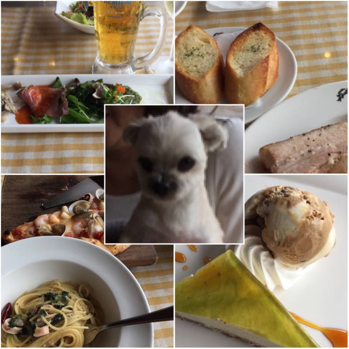 Faf38cbf 884c 4c6e 89aa bcf7a07be963 1561185611330