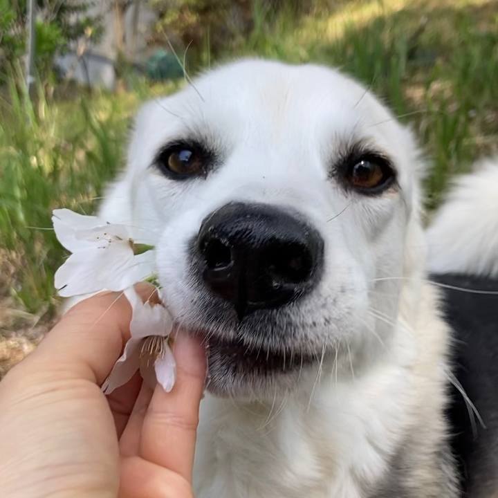 Faf39438 7a27 46a7 b3cb 10a6b542b3bd 1680787137211