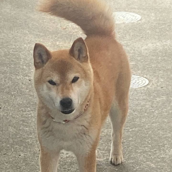 Faf39c48 c1b6 49d2 b8c8 7fd77f889ad0 1717847339097