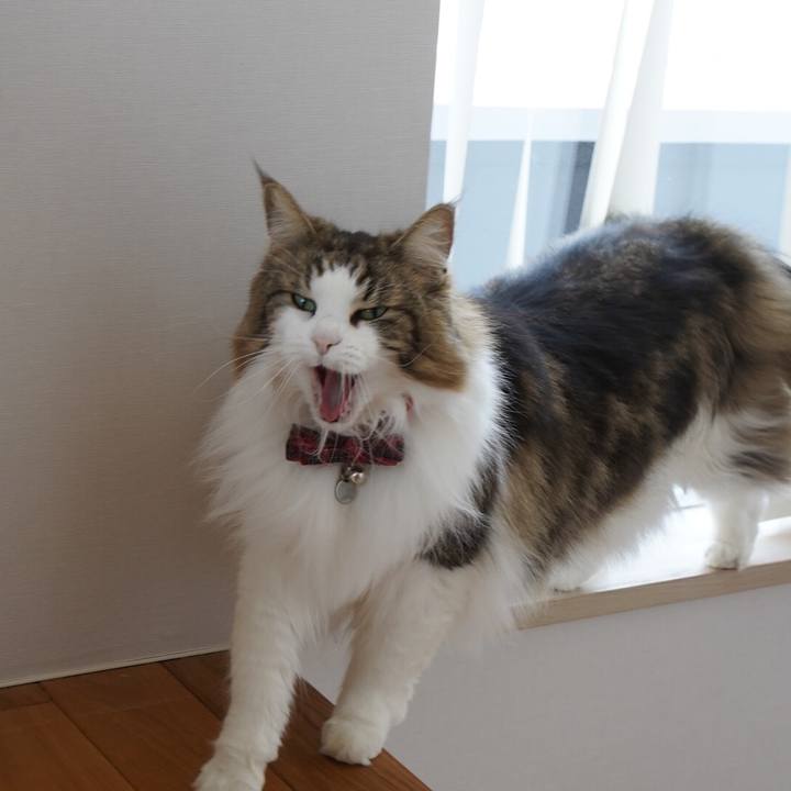 Faf3cb9b ed4b 4ddc a122 14e39f5abbb5 1615256756834