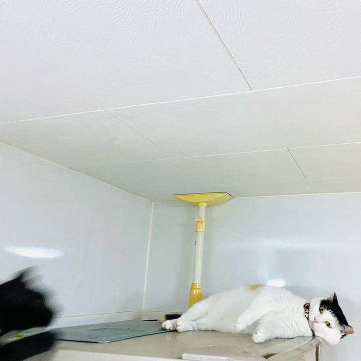 Faf3dfee 01ca 4db1 86fb 6fdff7341dea 1683983182363