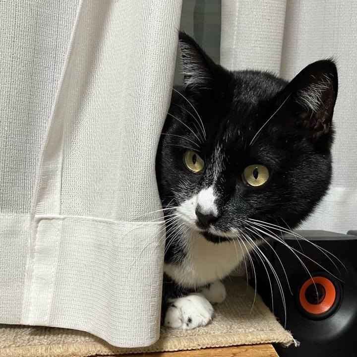 Faf41dd6 bddd 484e a262 bcd40e0ef89c 1739346937532