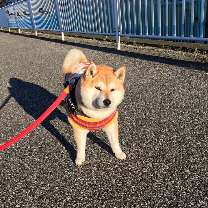 Faf436fb 35ab 403f 879c 89ed39b506dc 1583395344147