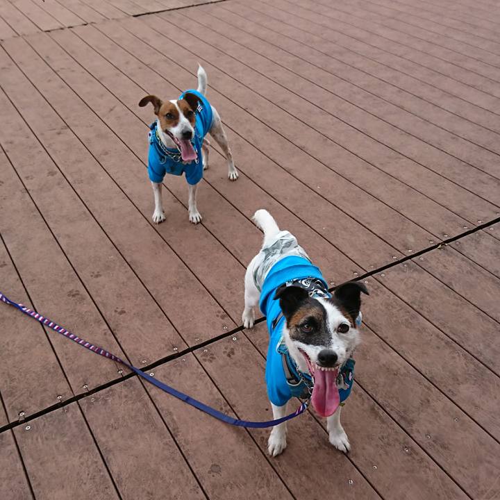 Faf4370e 0628 43fd 9746 606109c829cb 1597717568399