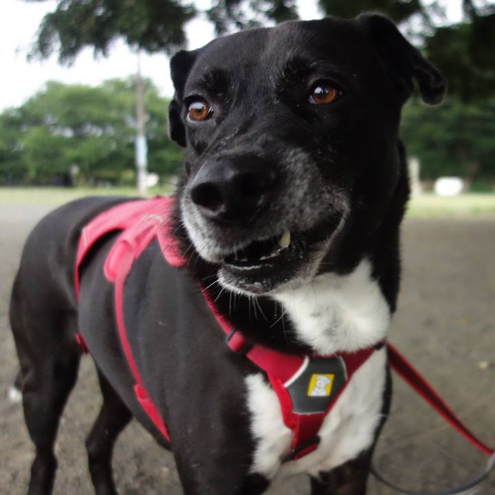 Faf448d2 842e 4011 9157 d93a8a2c820c 1689206384325