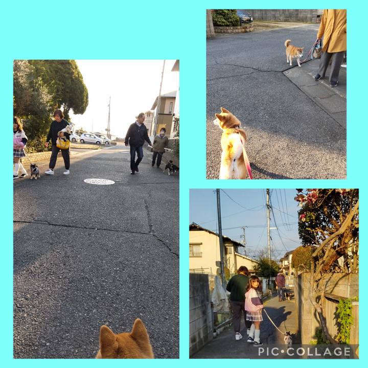 Faf4992a fc1b 4ca8 a07d 301aac888127 1743731229457