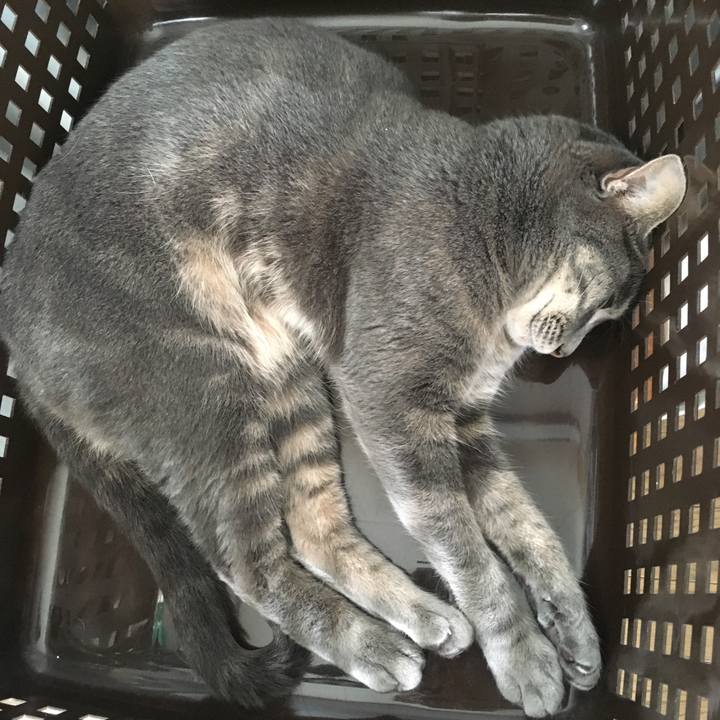 Faf499f2 b0a7 4e4c 9498 de31b964f822 1563587131561