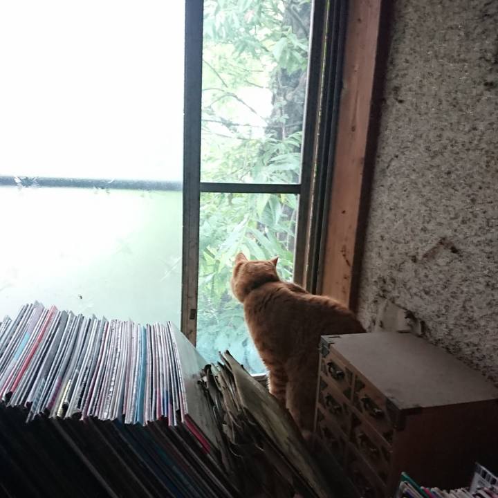 Faf4b59a f514 4b11 a3f4 c8f185f213f2 1656363453761