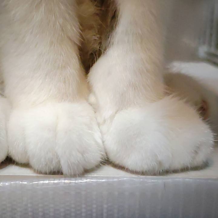 Faf4d0ad a96f 441c 9868 3b9acb7918cb 1668325733925