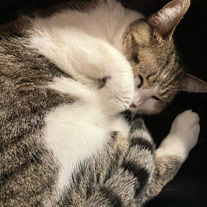 Faf4e3ae d790 4194 bbc3 9ca1d1d9865c 1741035047129