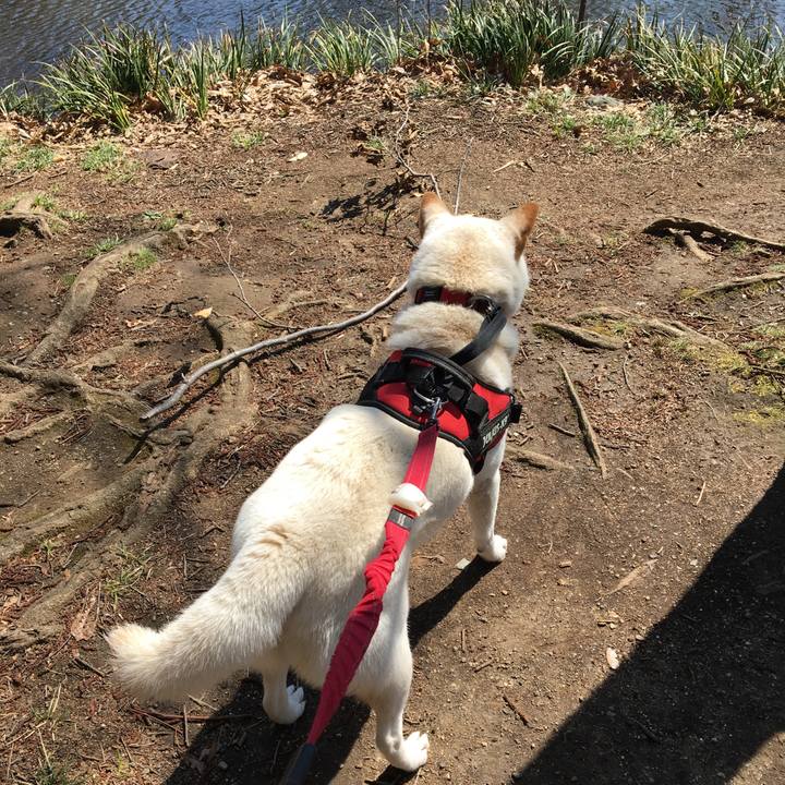 Faf5026e 9a59 4db4 9b3a 23f69d3b709b 1552469583696