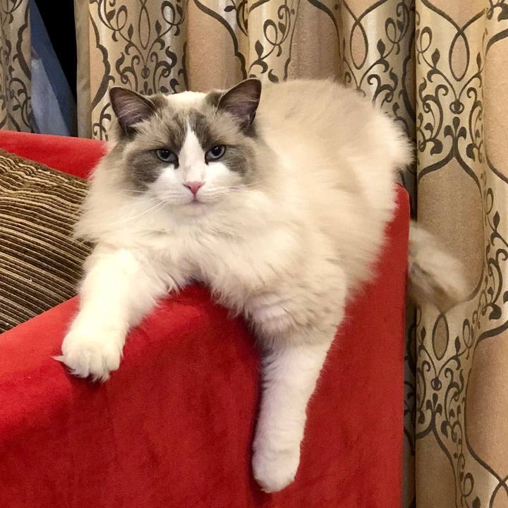 Faf52aa4 8774 4a7c afe4 e3d8b88185c1 1583937388970