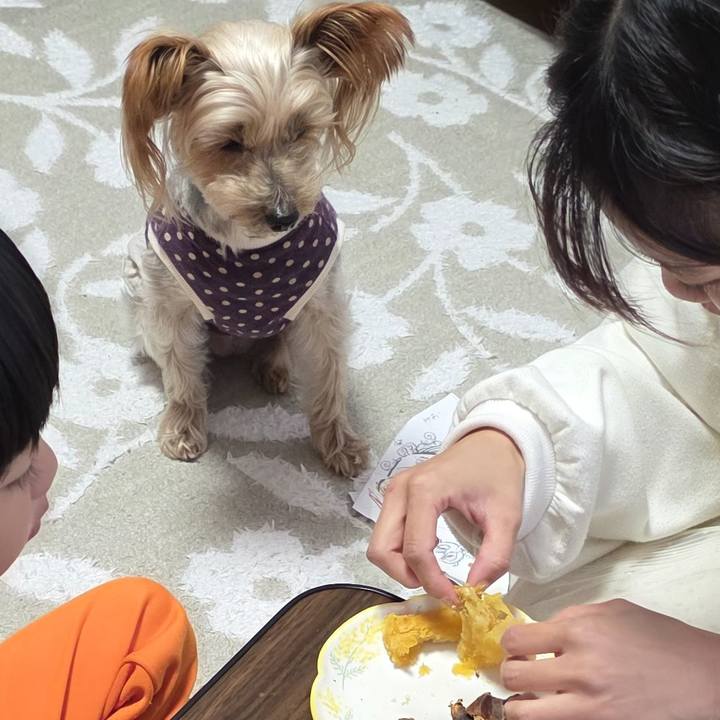 Faf55f92 551f 4429 a378 192698eec5f0 1769339175684