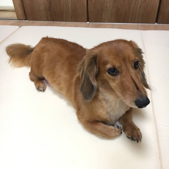 Faf56497 b31d 473a 98d3 67174b6e8050 1532262727487