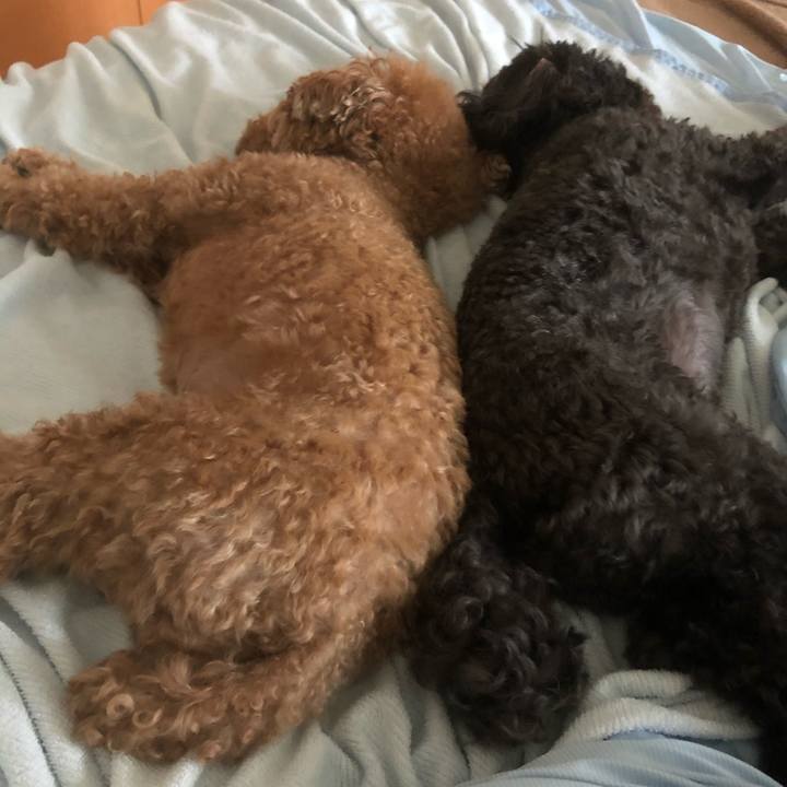 Faf57871 c537 40a6 8382 b7e5afa9ce36 1598352683464