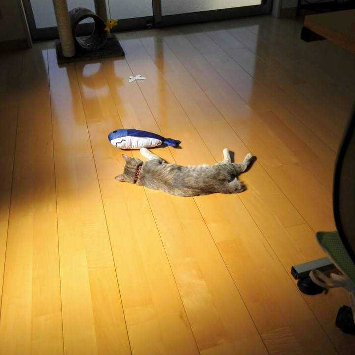 Faf5921e 2901 414a 8e87 04f36058f77c 1731390937982