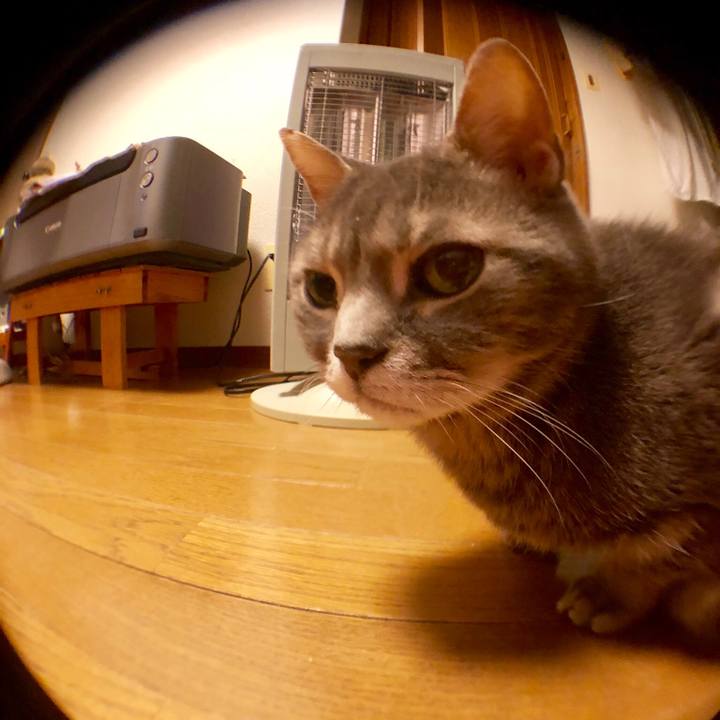 Faf59aec 8248 464c b3c6 8390979a0be2 1556517232681