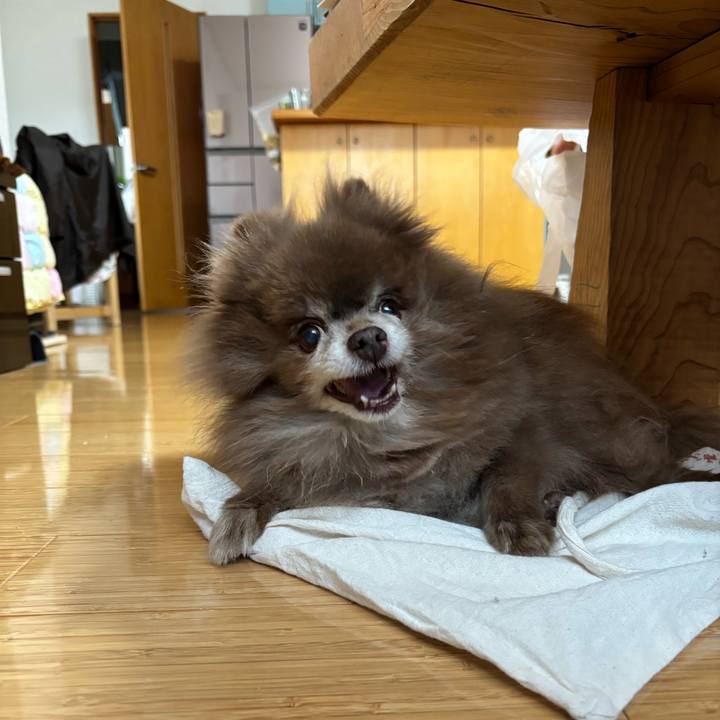 Faf5dce2 16bd 419a 9693 ed1b5b740d33 1771715276937