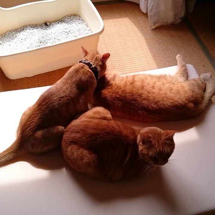 Faf628ce 34c6 47a6 8b68 eaa9f3254b81 1580294413290