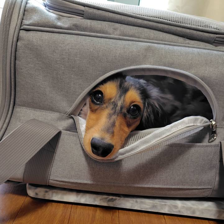 Faf653aa c4d7 4f9e 9792 4135bfe94eee 1745479053246