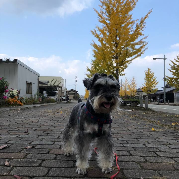 Faf65554 185a 4f57 a3fb 491b2faf20af 1604815631473