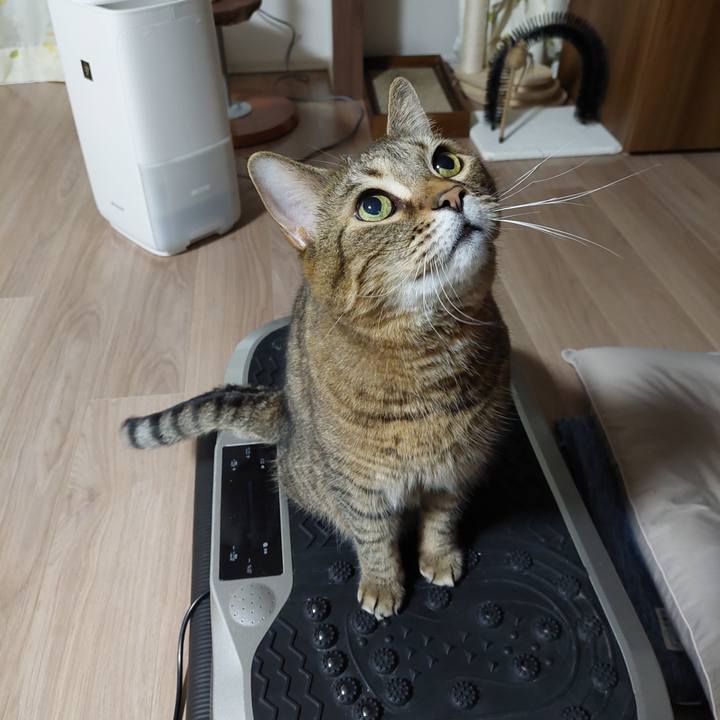 Faf66af9 344a 44e1 9331 1c8e10a8a5c0 1640644603746