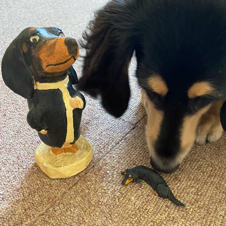 Faf68d23 6317 41a9 999e 1f1f3aa31347 1695170059715